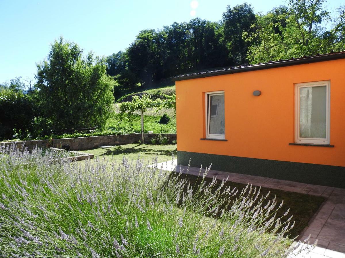 Dobravlje Pocitniska Hisa旅馆 外观 照片